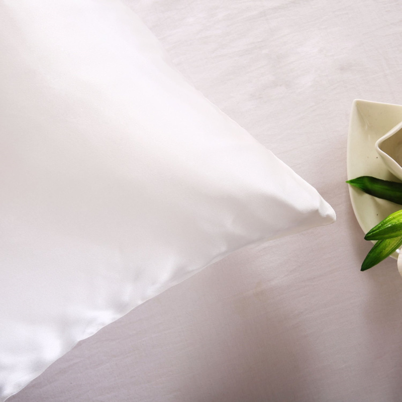 ปลอกหมอนผ้าไหมหม่อนธรรมชาติ 10 - Silk Pillowcase บทวิจารณ์และราคา
